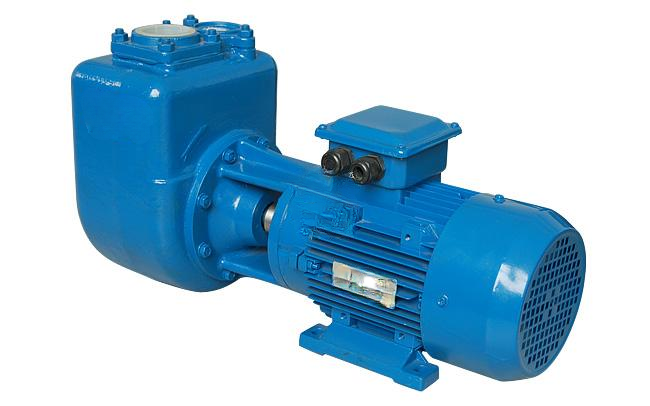 GMjz Series Non Clogging Self Priming Monobloc Sewage Pump