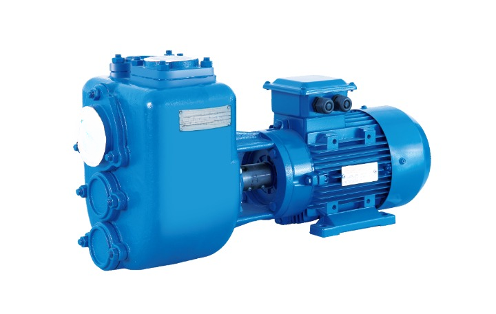 GMjz Series Non Clogging Self Priming Monobloc Sewage Pump 2